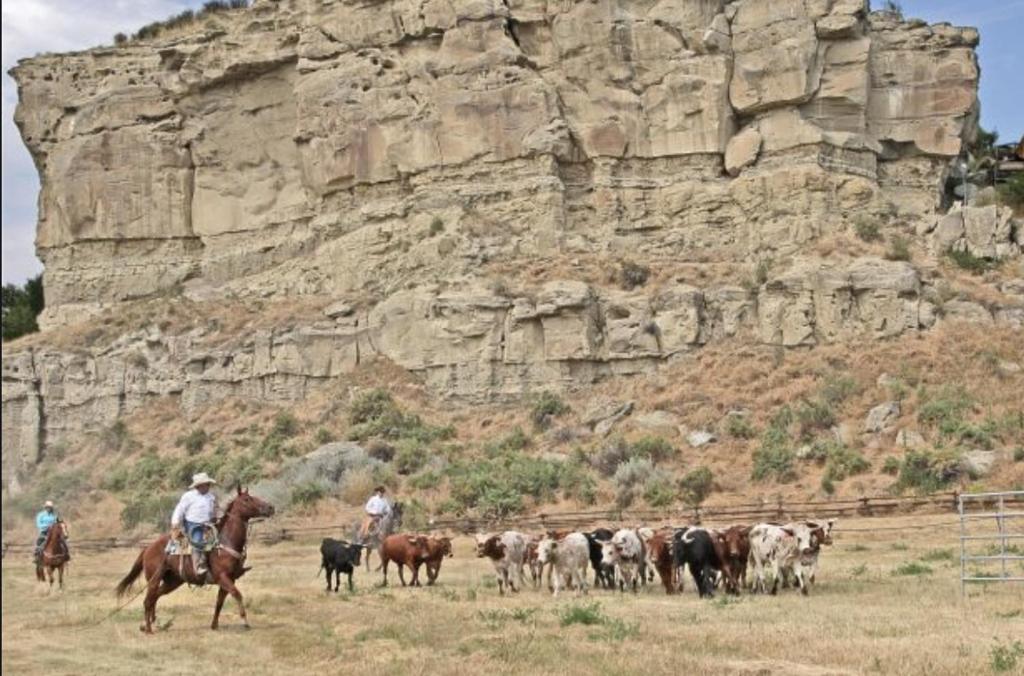 Montana Inn Near Little Big Horn Battlefield-Pompey Piller-Colstrip Forsyth Exteriör bild